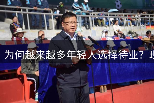 为何越来越多年轻人选择待业？现代职场困境的深层思考