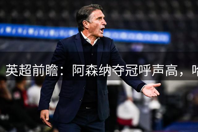 英超前瞻：阿森纳夺冠呼声高，哈兰德领跑射手榜